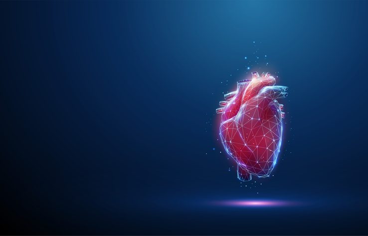 Abstract red human heart. Heart anatomy. Healthcare medical concept. Low poly style design. Geometric background. Wireframe light connection structure. Modern 3d graphic concept. Vector