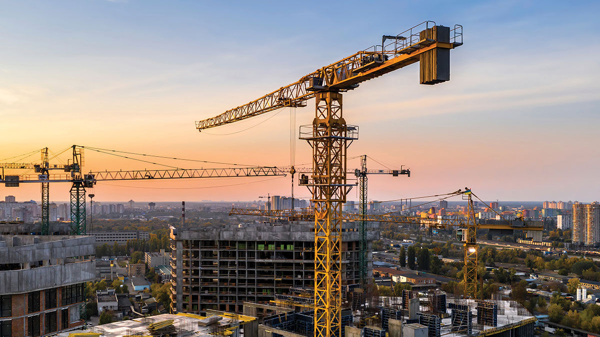 Grande grue dans le ciel