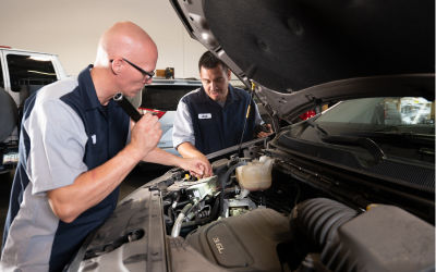 BraunAbility factory