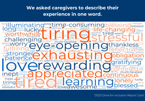 2023 Drive For Inclusion Report Card 