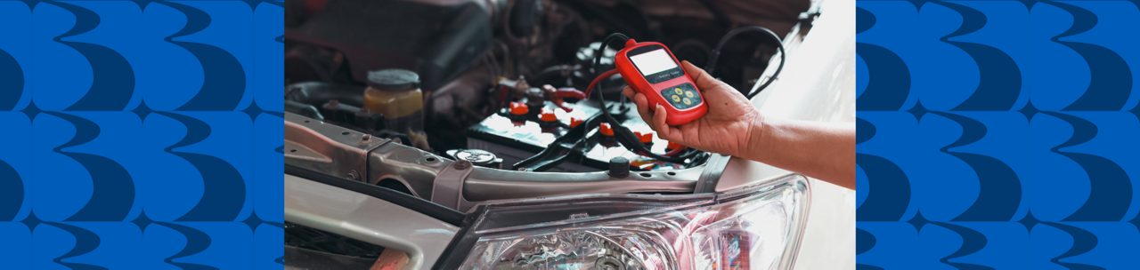 protect handicap accessible vehicle battery