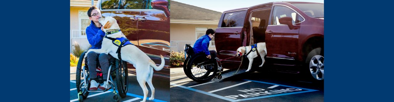 Service Dog Laws in the U.S.