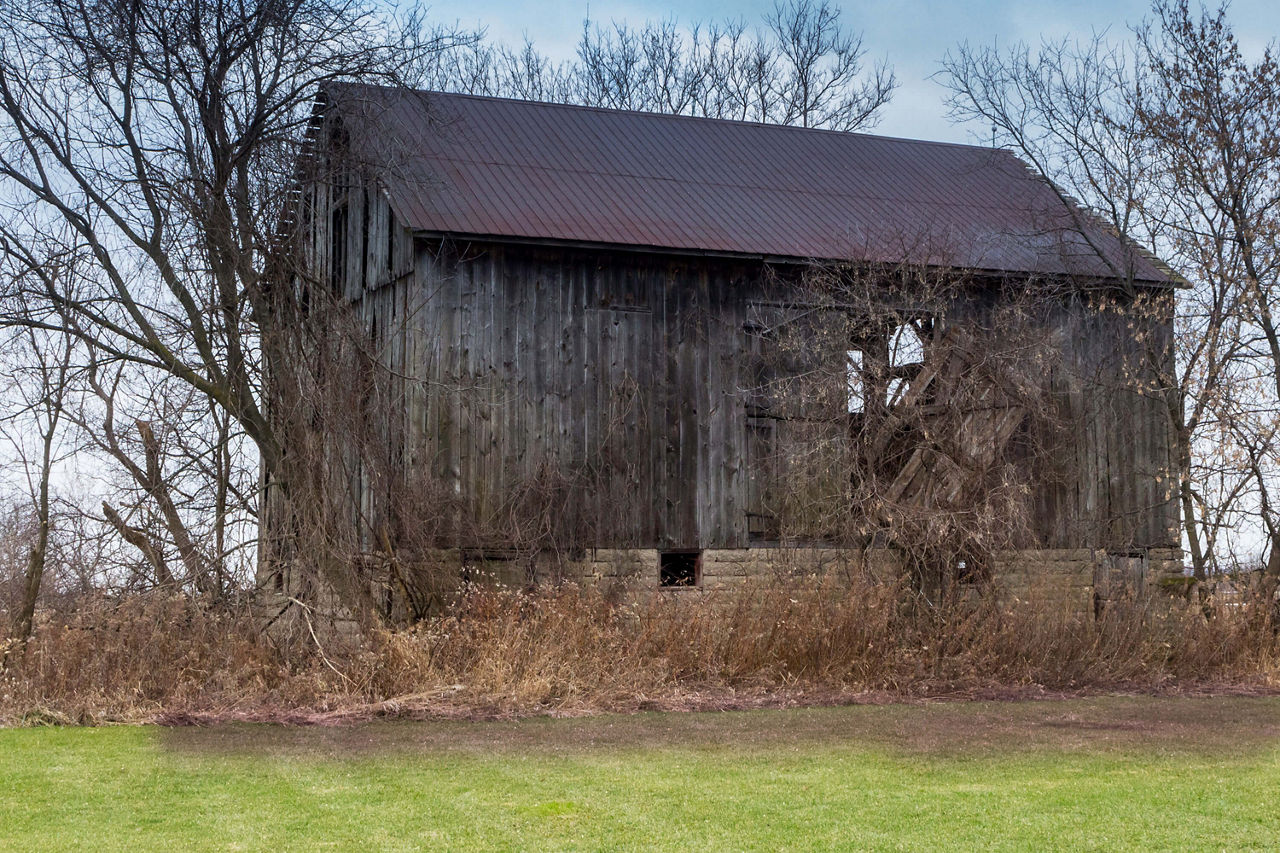 Rise Above Deep Roots Grow Big Ideas