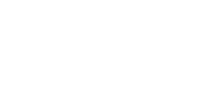 100 anniversary bowtie