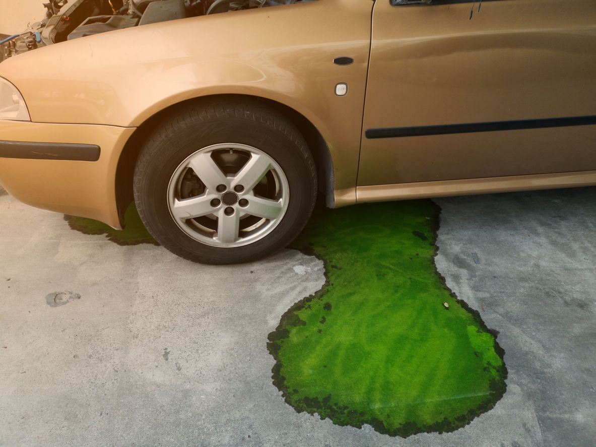 image of coolant leaking from a car