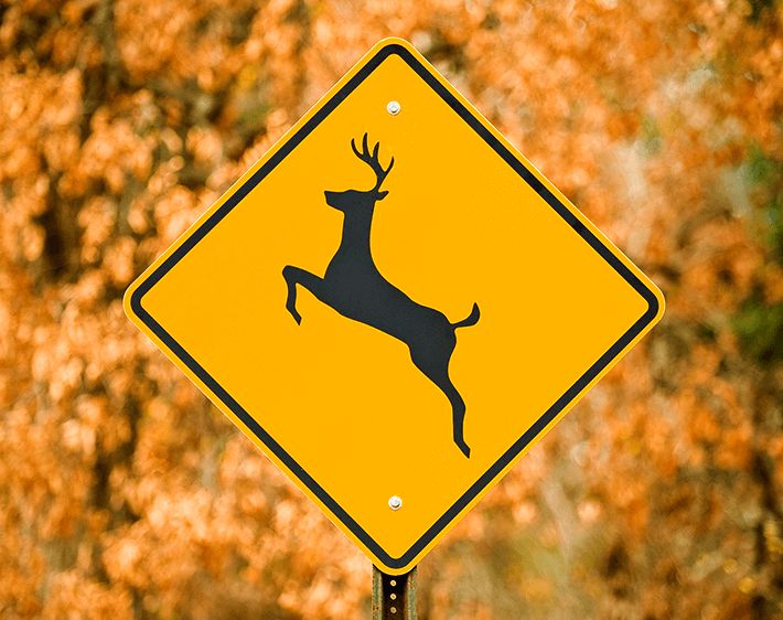 "deer crossing" sign