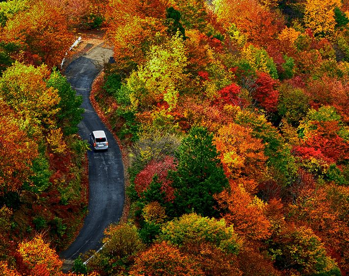 Best Scenic Drives for Fall Color