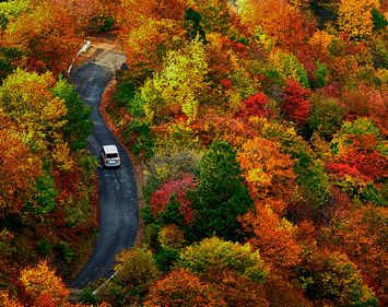 Car driving on a winding road through fall-colored trees