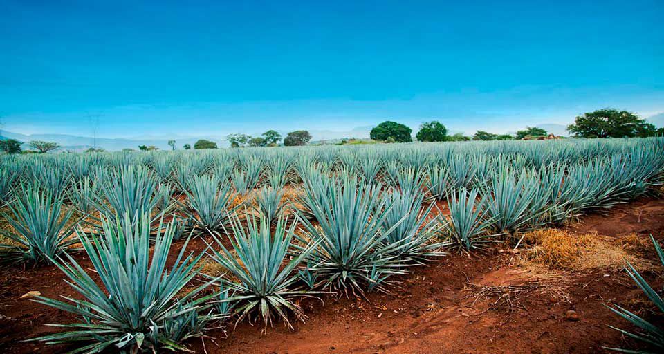 Recorre todo México con tus llantas Firestone