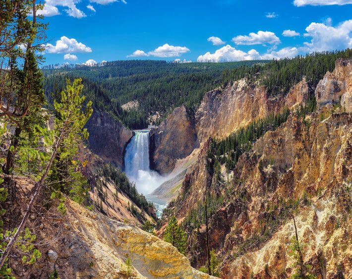 lower falls grand canyon yellowstone national park