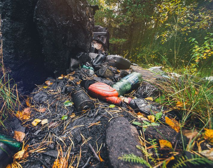 Motor oil pollution around foot of tree in pollution