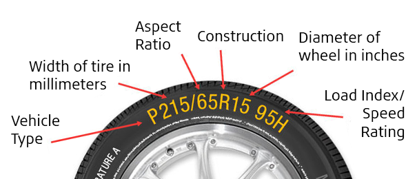 Tire Size Explained Infrographic Arial Font
