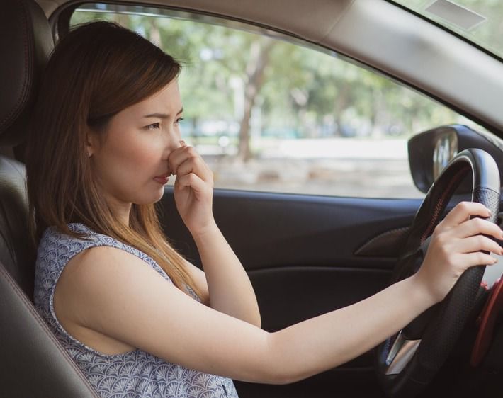 Follow Your Nose! 6 Car Smells You Should Sniff Out