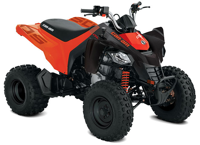 Can-Am Off-Road DS 250