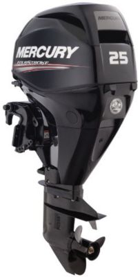 25 ELPT Black FourStroke Mercury engine