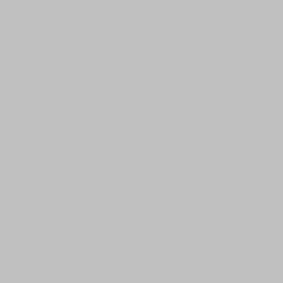 SILVER GRAPHICS