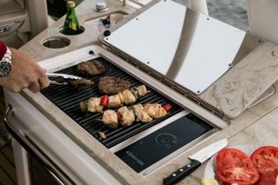 Electric grill (220V)