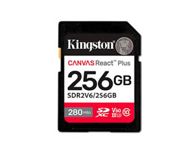 Tarjeta de memoria SD 256GB Kingston 