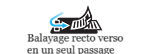 Icône de scan 2 faces Singles Pass