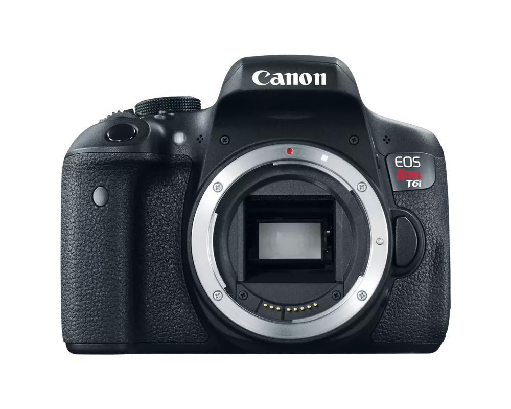 How to Turn on Flash on a Canon Camera? [Complete Guide]