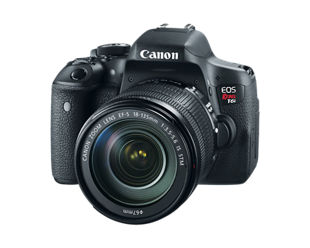 Canon Support for EOS Rebel T6i EF-S 18-135mm IS STM Lens Kit