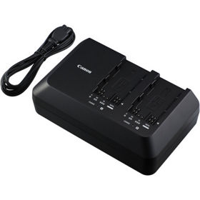 Cargador de Bateria CG-A10