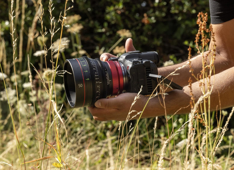 Caméra avec objectif cinéma Canon tenue en extérieur parmi de hautes herbes