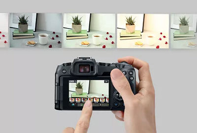 Mains tenant un appareil photo numérique, se concentrant sur une plante en pot à travers le viseur.