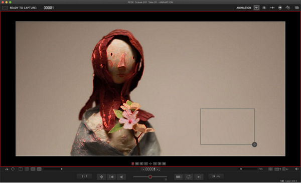 Demo of stop Motion Software 