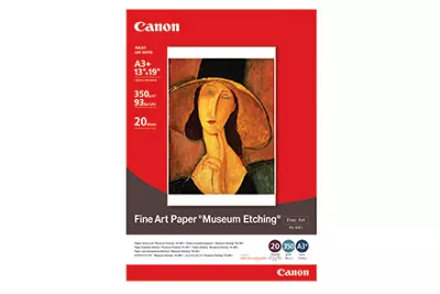 Papier beaux-arts FA-ME1 13 po x 19 po (20 feuilles)