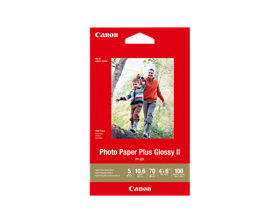 PP-301 4X6 100