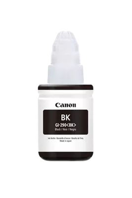 1595C001_gi-290-pigment-black_2