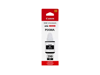 GI-290 Pigment Black