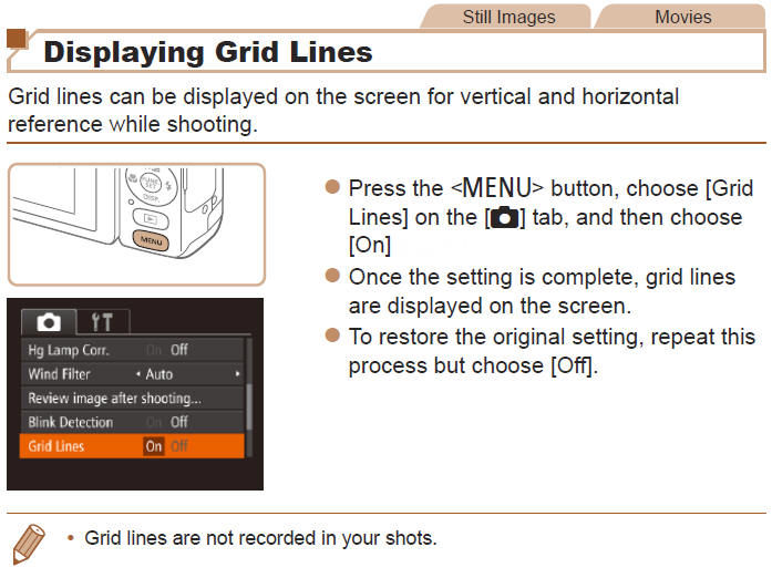 Displaying Grid Lines