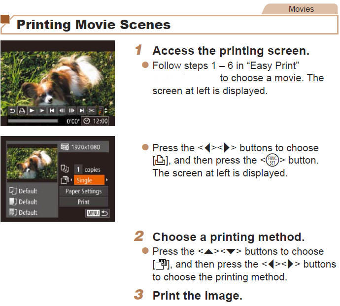Printing Directly from Camera (PictBridge)