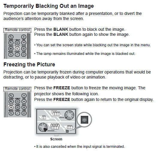 Temporarily Blacking Out or Freezing an Image