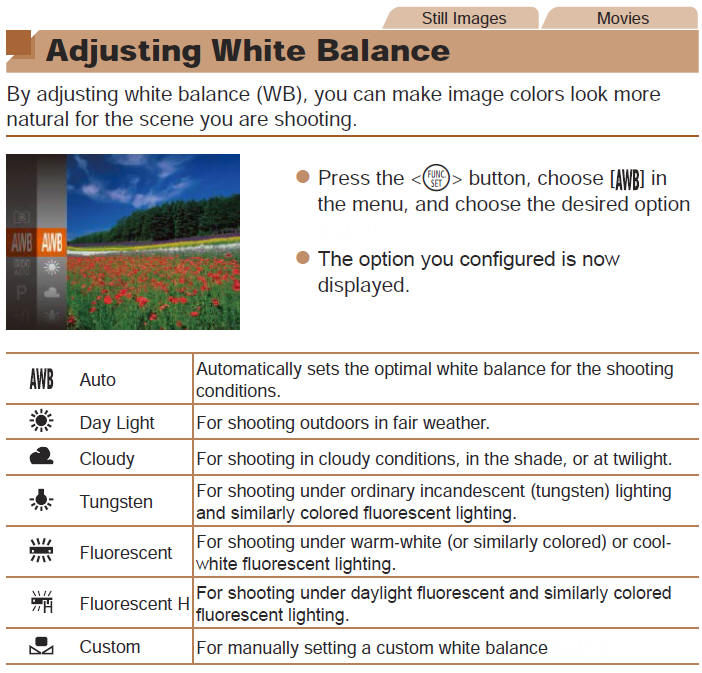 Adjusting White Balance and Setting a Custom White Balance