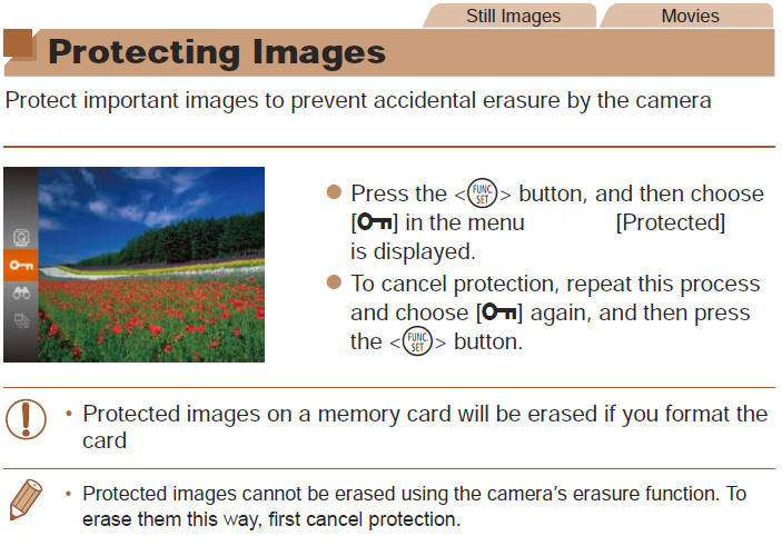 Protecting Images fro Erasure