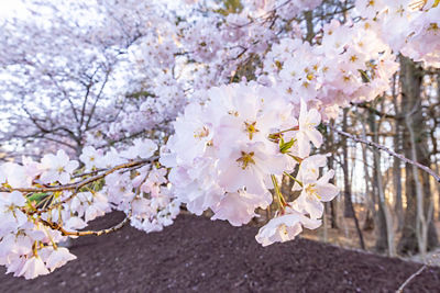 Corporate Philosophy