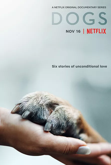 Dogs Poster
