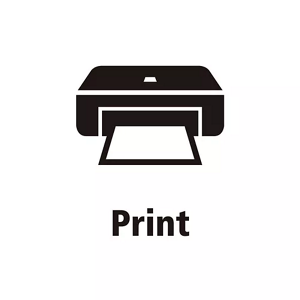 Print icon