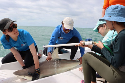 People Watering a Shark on a Boat