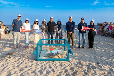 Canon U.S.A. representatives gather on the beach with Amber, the loggerhead sea turtle, prior to her release.