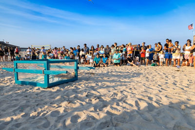  Family and friends from Canon join NYMRC volunteers on the beach as Amber, the loggerhead sea turtle, prepares for her release.