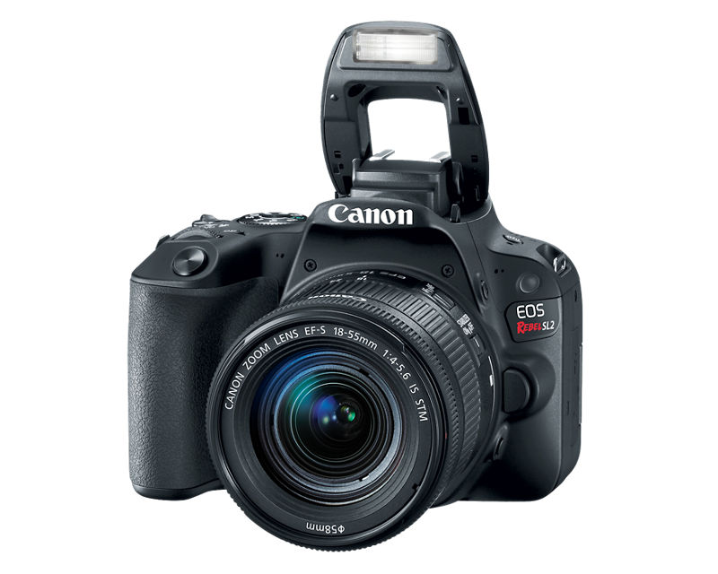 Canon Support for EOS Rebel SL2 | Canon U.S.A., Inc.
