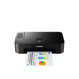 PIXMA TS202 Inkjet Printer