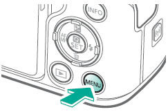 Setting the Display Language