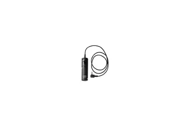 Remote Switch RS-60E3