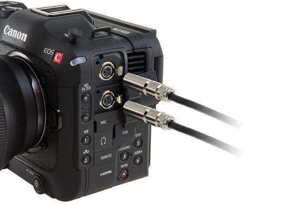 Built-in Mini-SLRs