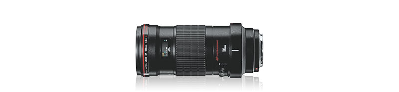 Explore EF 180mm f/3.5L Macro USM | Canon Latin America